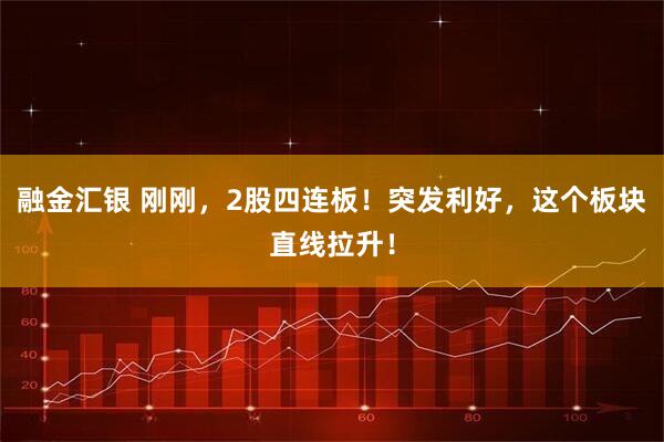 融金汇银 刚刚，2股四连板！突发利好，这个板块直线拉升！