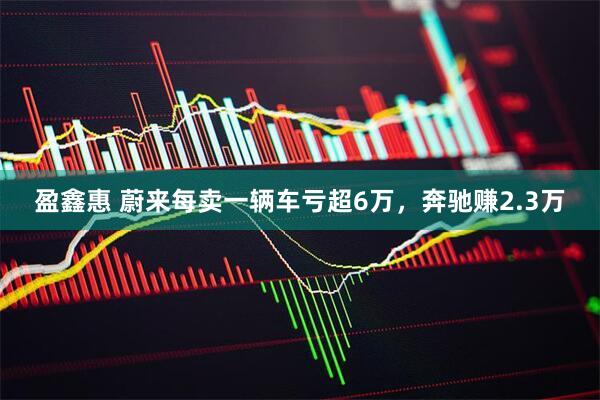 盈鑫惠 蔚来每卖一辆车亏超6万，奔驰赚2.3万