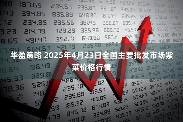 华盈策略 2025年4月23日全国主要批发市场紫菜价格行情