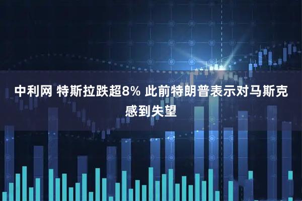 中利网 特斯拉跌超8% 此前特朗普表示对马斯克感到失望